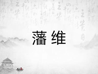 藩维
