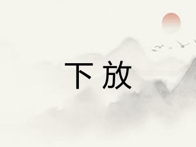 下放 下放