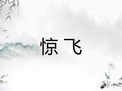 惊飞 惊飞