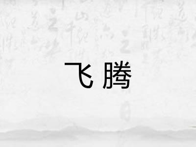 飞腾 飞腾