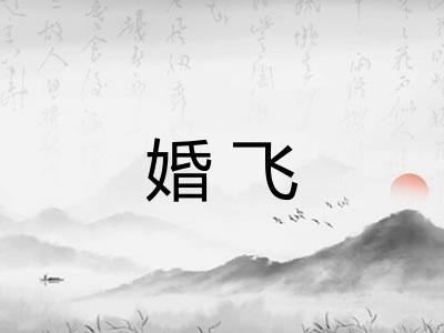 婚飞 婚飞