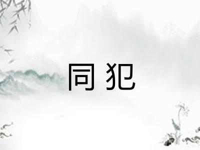 同犯 同犯