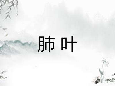 肺叶