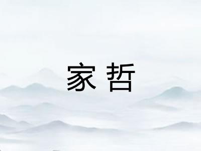 家哲 家哲