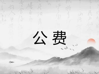 公费 公费