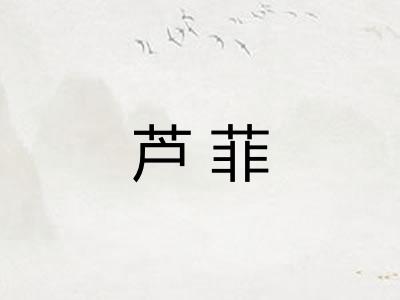 芦菲 芦菲