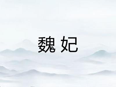 魏妃 魏妃