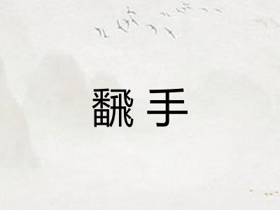飜手 飜手