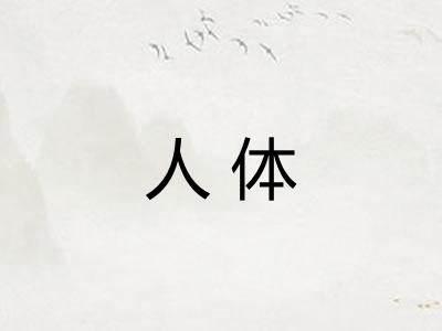 人体 人体