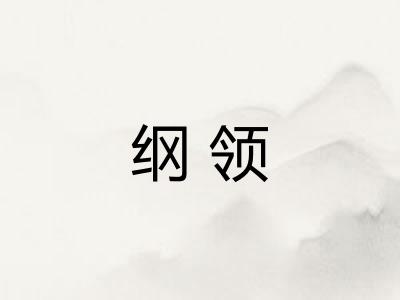 纲领 纲领