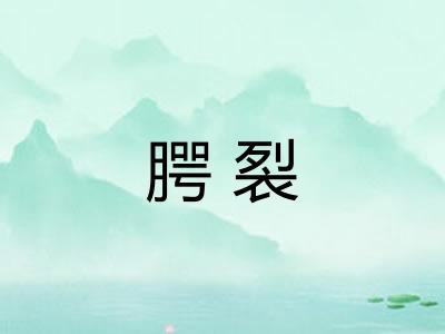 腭裂 腭裂