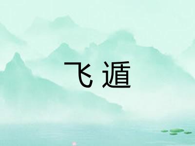 飞遁