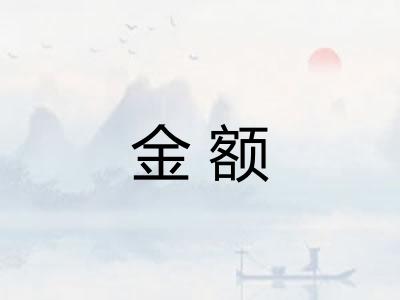 金额