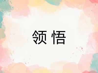 领悟 领悟