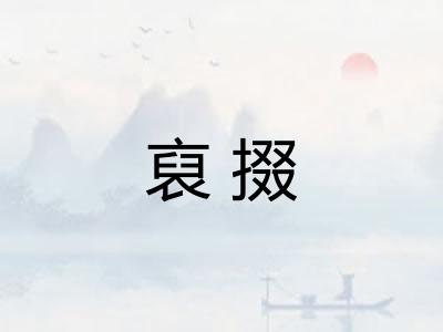 裒掇