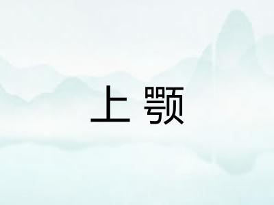 上颚