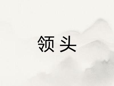 领头 领头