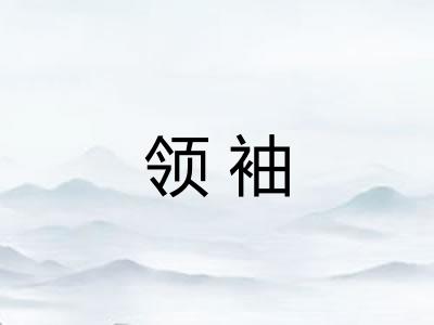 领袖 领袖
