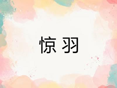 惊羽 惊羽