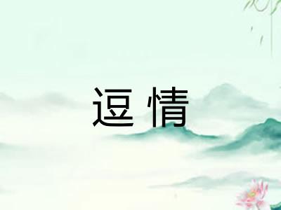 逗情 逗情