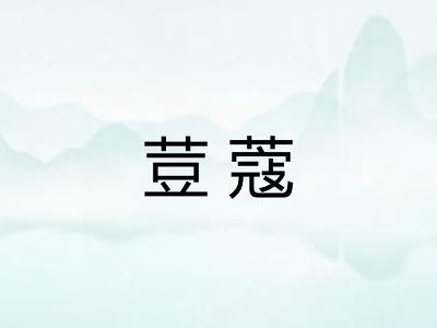 荳蔻 荳蔻