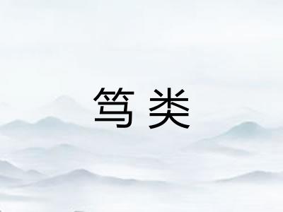 笃类 笃类