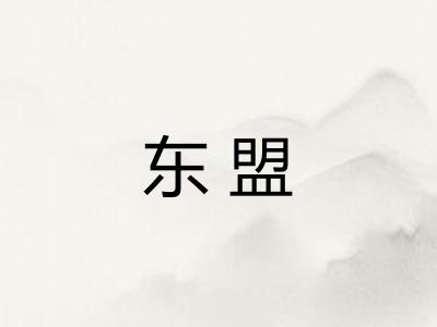 东盟 东盟