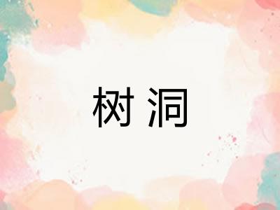树洞 树洞