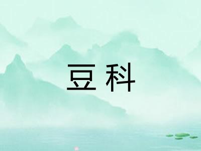 豆科 豆科