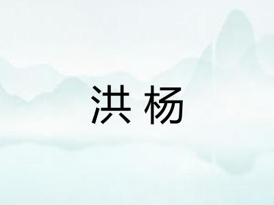 洪杨 洪杨