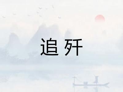 追歼 追歼