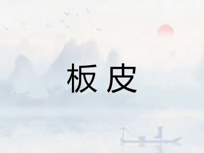 板皮