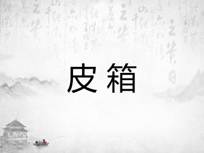 皮箱 皮箱
