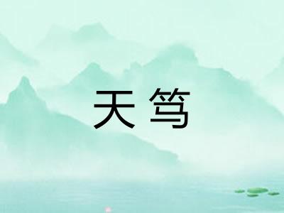 天笃 天笃