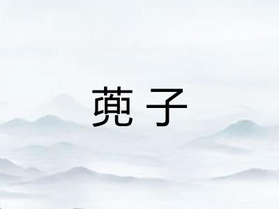 蔸子 蔸子