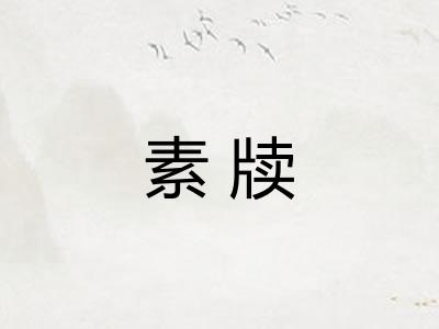 素牍 素牍