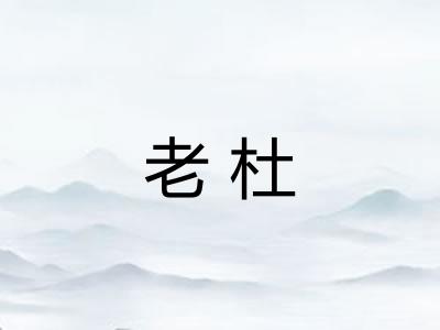 老杜 老杜