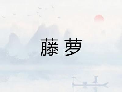 藤萝 藤萝