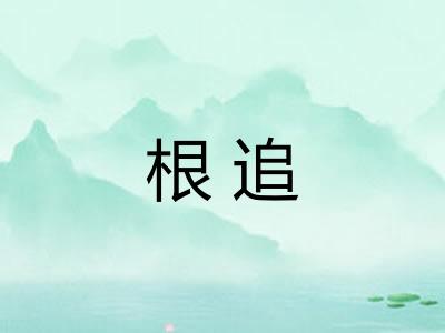 根追 根追