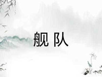舰队 舰队