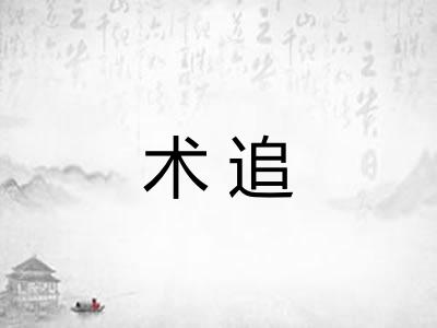 术追 术追