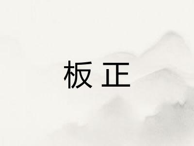 板正 板正