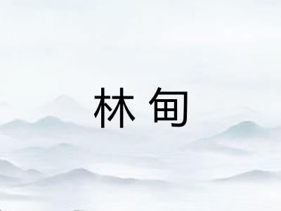 林甸 林甸
