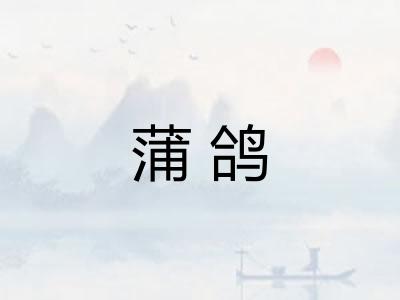 蒲鸽 蒲鸽