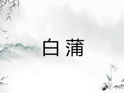 白蒲 白蒲