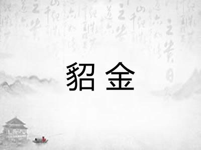 貂金 貂金