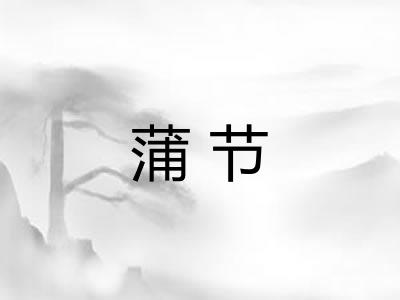 蒲节 蒲节