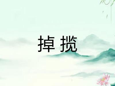 掉揽 掉揽