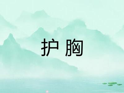 护胸