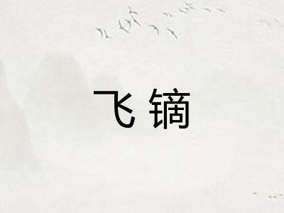 飞镝 飞镝